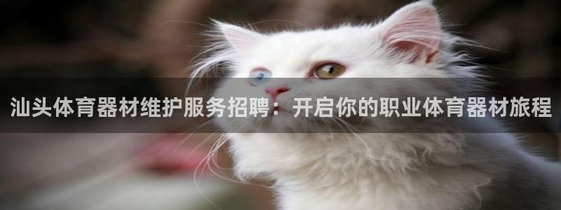 极悦平台平台注册方法与步骤视频：汕头体育器材维护服务