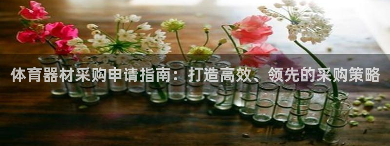 极悦平台官网登录不了怎么回事：体育器材采购申请指南：