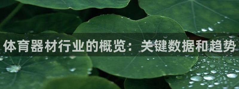 极悦平台登录入口注册账号：体育器材行业的概览：关键数