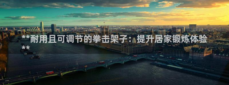 极悦娱乐官网下载app：**耐用且可调节的拳击架子：