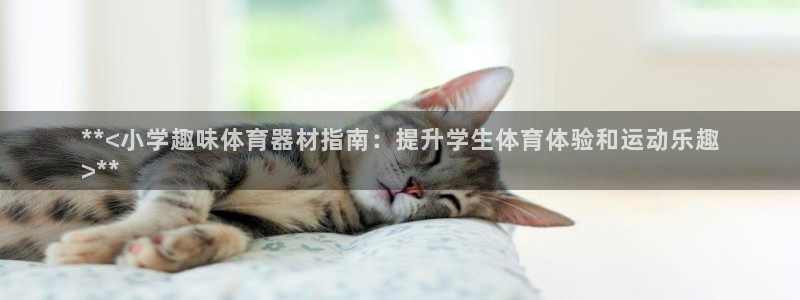 极悦平台注册用户名格式错误：**<小学趣味体育器材指