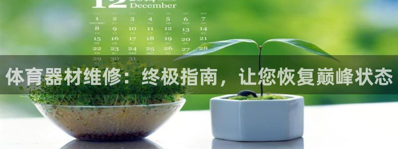 极悦平台使用注意事项是什么：体育器材维修：终极指南，