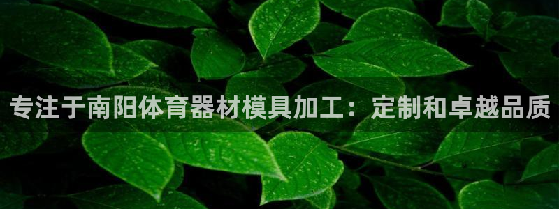 极悦平台注册用户名验证失败：专注于南阳体育器材模具加