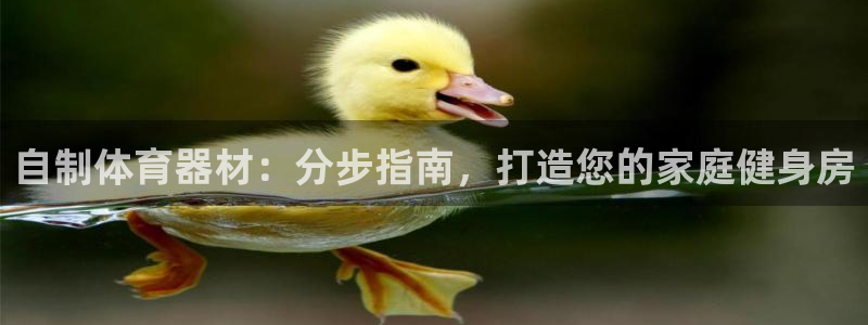 极悦娱乐官网客服联系方式：自制体育器材：分步指南，打