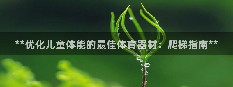 极悦平台登录最新版本更新内容：**优化儿童体能的最佳
