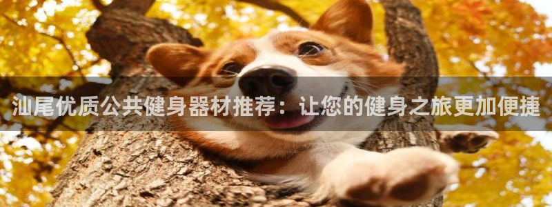 极悦平台注册官方网站下载安装手机版：汕尾优质公共健身