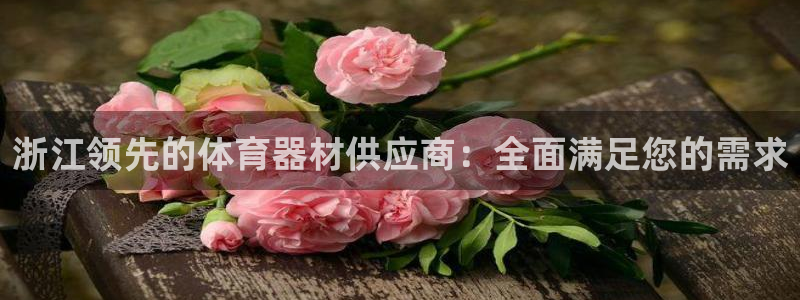 极悦平台注册申请流程详解图：浙江领先的体育器材供应商