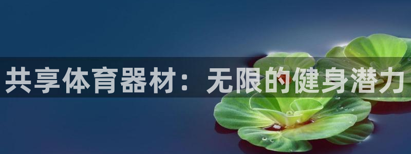 极悦官方网站：共享体育器材：无限的健身潜力