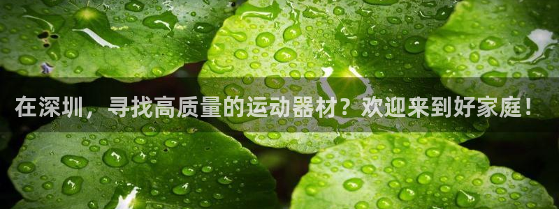 极悦娱乐官方网站：在深圳，寻找高质量的运动器材？欢迎