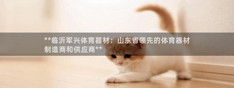 苏州极悦信息科技有限公司：**临沂军兴体育器材：山东