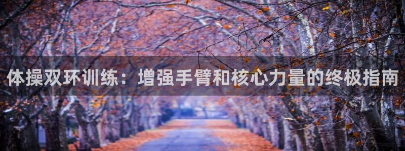 极悦平台注册失败如何解决方法：体操双环训练：增强手臂