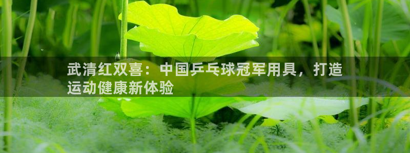 极悦平台使用注意事项：武清红双喜：中国乒乓球冠军用具