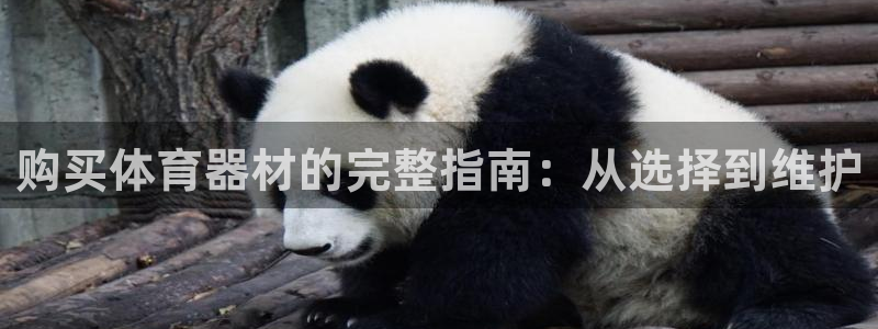 极悦娱乐的最新版本更新内容是什么：购买体育器材的完整