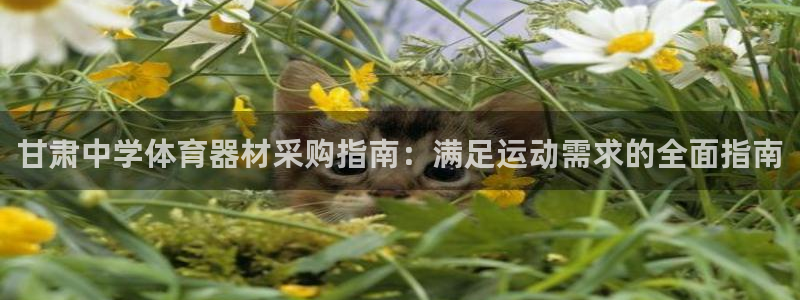 极悦平台有风险吗：甘肃中学体育器材采购指南：满足运动