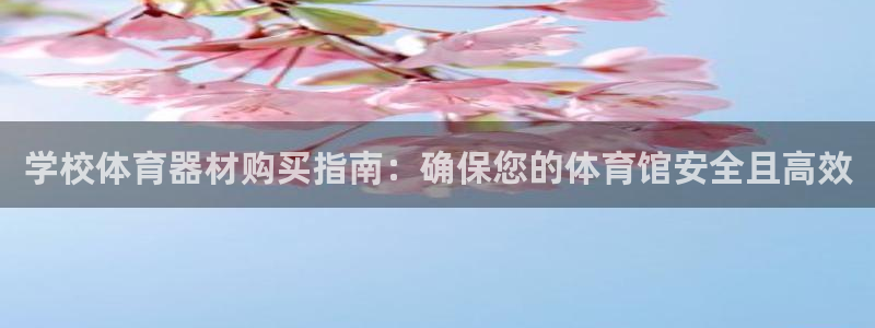 极悦平台代理怎么样：学校体育器材购买指南：确保您的体