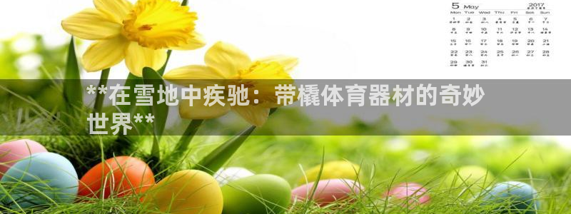 极悦官网登录：**在雪地中疾驰：带橇体育器材的奇妙
