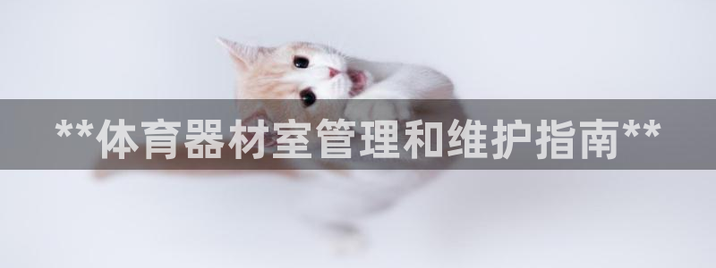 极悦娱乐负责人怎么样：**体育器材室管理和维护指南*