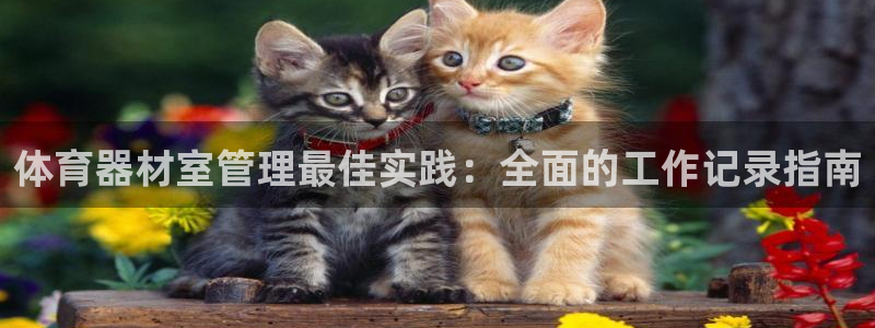 极悦平台使用教程图片：体育器材室管理最佳实践：全面的