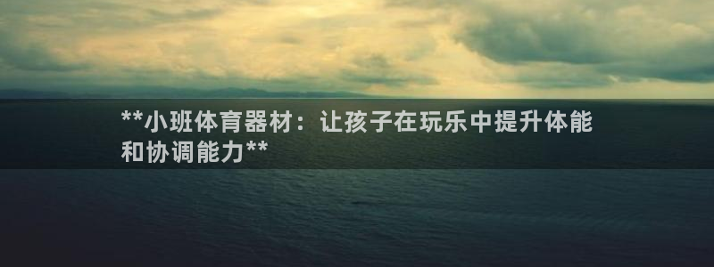 加盟极悦教育怎么样：**小班体育器材：让孩子在玩乐中