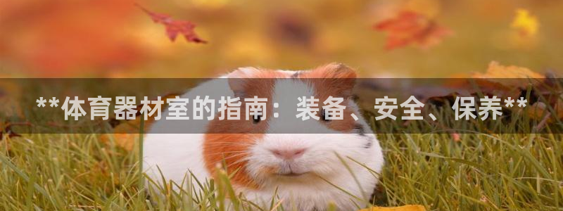 加盟极悦教育：**体育器材室的指南：装备、安全、保养