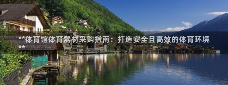 极悦平台注册官网下载：**体育馆体育器材采购指南：打