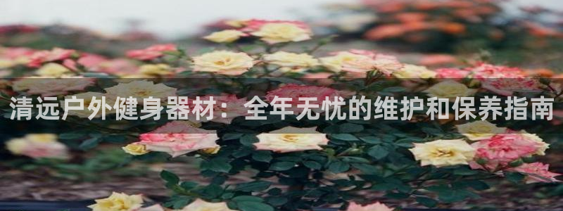 极悦平台登录不进去怎么回事呀：清远户外健身器材：全年