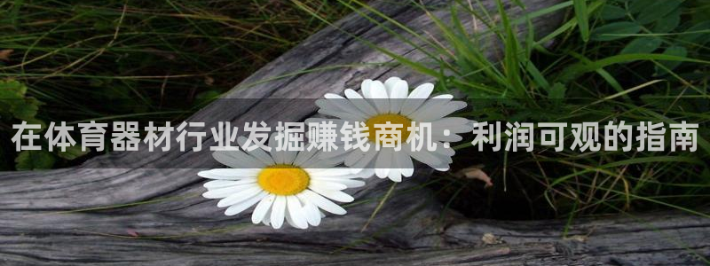 极悦平台注册官方网站下载安装：在体育器材行业发掘赚钱