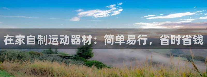 极悦生活家是什么平台的产品：在家自制运动器材：简单易