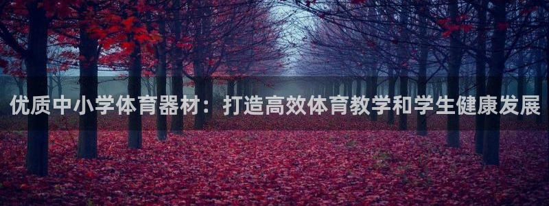 极悦娱乐会被骗吗：优质中小学体育器材：打造高效体育教