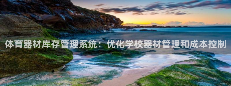 极悦平台客服团队介绍：体育器材库存管理系统：优化学校