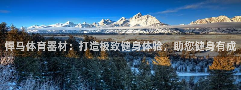 极悦平台登录好7.0.2.4安装：悍马体育器材：打造