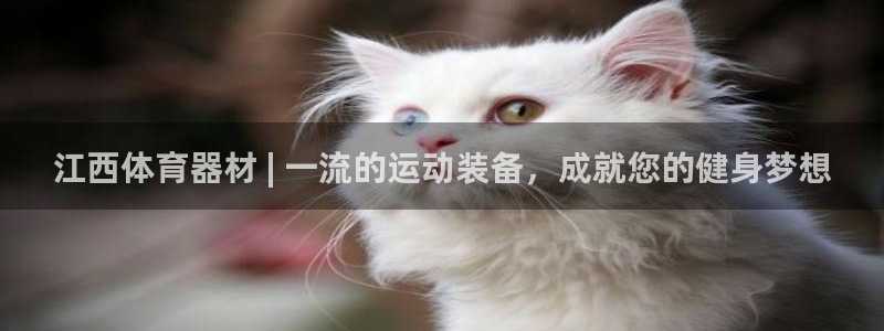 极悦平台注册流程图片：江西体育器材 | 一流的运动装