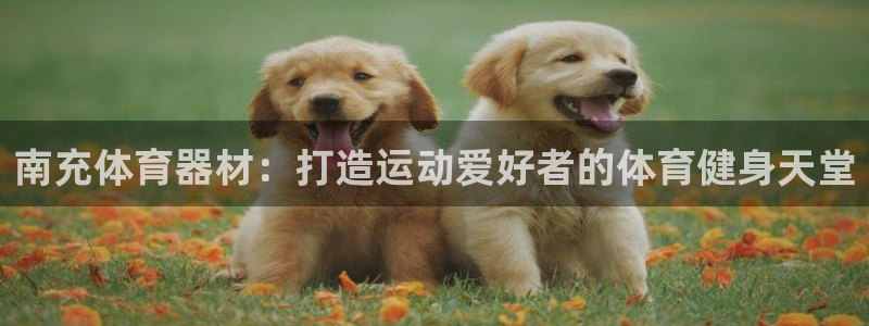 极悦平台登录7.0.2.4手机版下载安卓：南充体育器