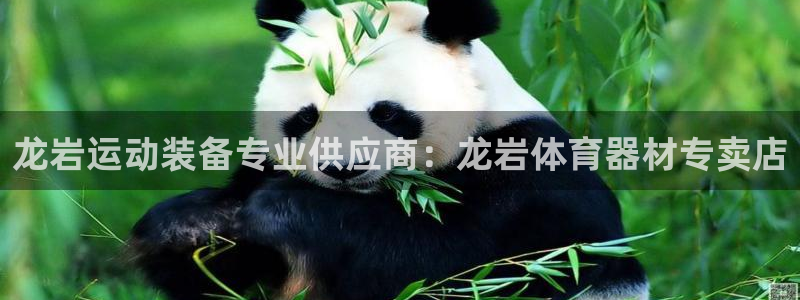 极悦平台代理怎么做的：龙岩运动装备专业供应商：龙岩体