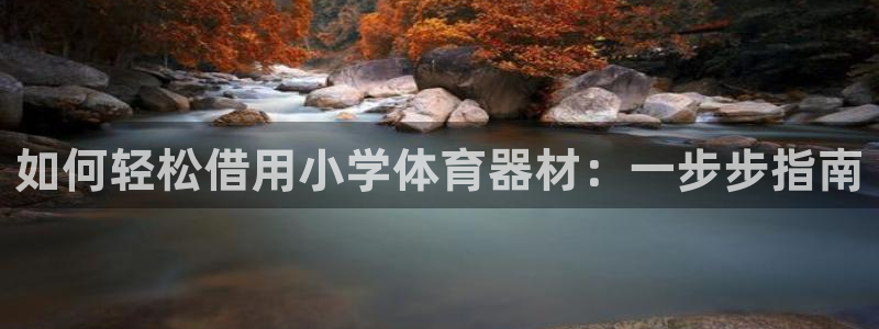 极悦娱乐代理多少钱一年：如何轻松借用小学体育器材：一