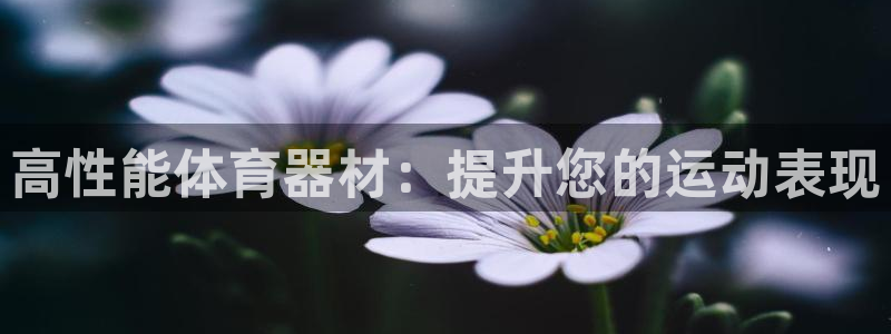加盟极悦教育多少钱：高性能体育器材：提升您的运动表现