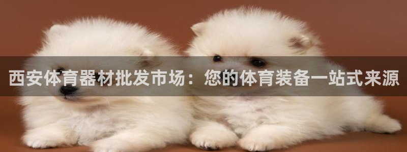 极悦平台代理怎么样啊：西安体育器材批发市场：您的体育