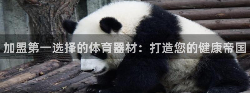 极悦娱乐会被骗吗知乎：加盟第一选择的体育器材：打造您