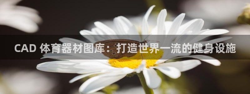极悦平台登录方式：CAD 体育器材图库：打造世界一流