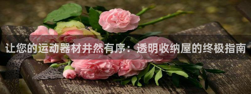 极悦平台是干什么的公司：让您的运动器材井然有序：透明