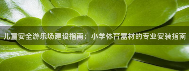 极悦娱乐app官方版本更新内容：儿童安全游乐场建设指