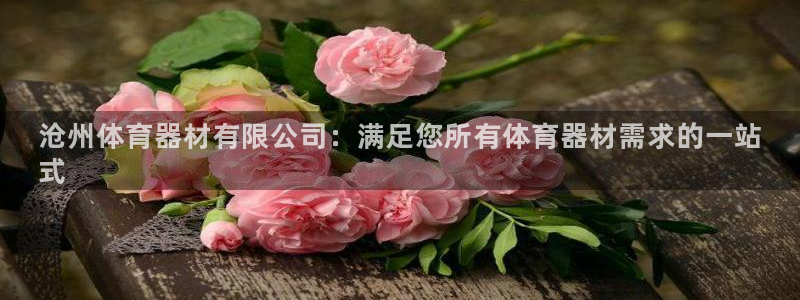极悦平台使用注意事项：沧州体育器材有限公司：满足您所