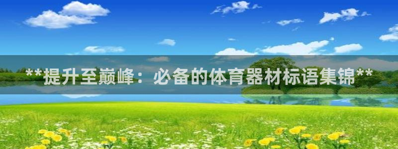 极悦平台官方网站入口链接手机：**提升至巅峰：必备的