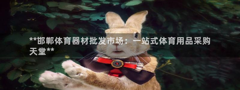 极悦娱乐官方网站入口：**邯郸体育器材批发市场：一站