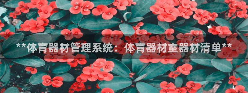 极悦平台官网登录不了了：**体育器材管理系统：体育器