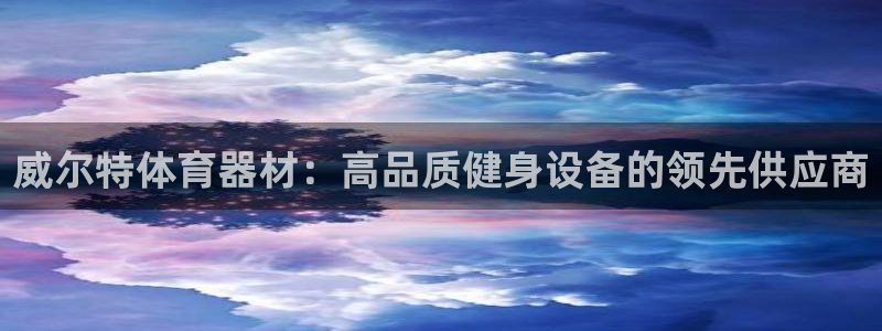 极悦生活家是什么平台的产品：威尔特体育器材：高品质健