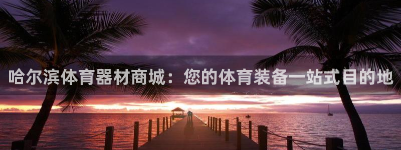 极悦平台股东：哈尔滨体育器材商城：您的体育装备一站式
