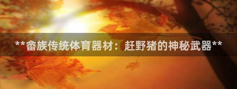 极悦平台注册官方网站下载安装苹果：**畲族传统体育器