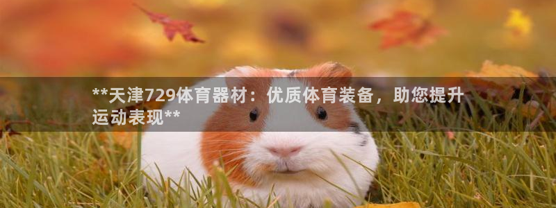 极悦娱乐负责人：**天津729体育器材：优质体育装备