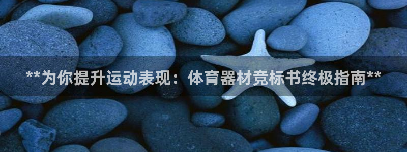 极悦平台是什么公司：**为你提升运动表现：体育器材竞